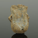 MEDIEVAL LEAD PILGRIM’S HOLY WATER AMPULLA Dating Circa 14th Century AD (035)