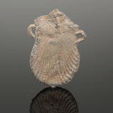 MEDIEVAL LEAD PILGRIM’S HOLY WATER AMPULLA Dating Circa 14th Century AD (039)